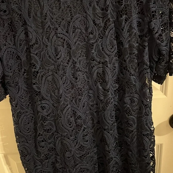 Brand new navy blue dress with lace floral - Picture 5 of 8